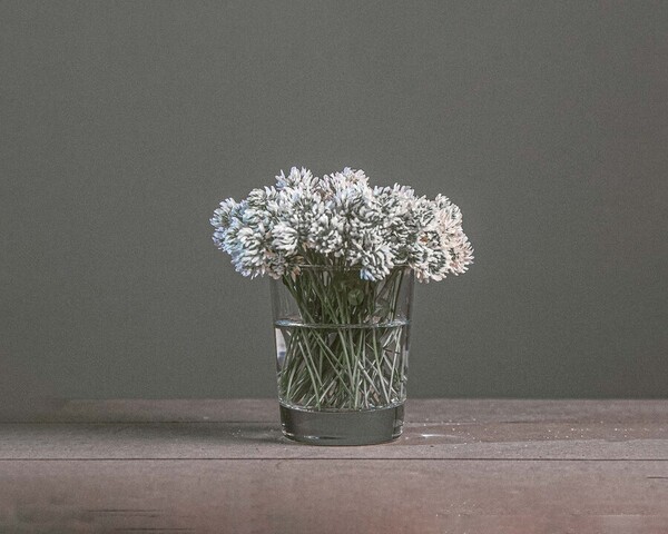 Photograph Irina Kochetkova Summer Bouquet on One Eyeland